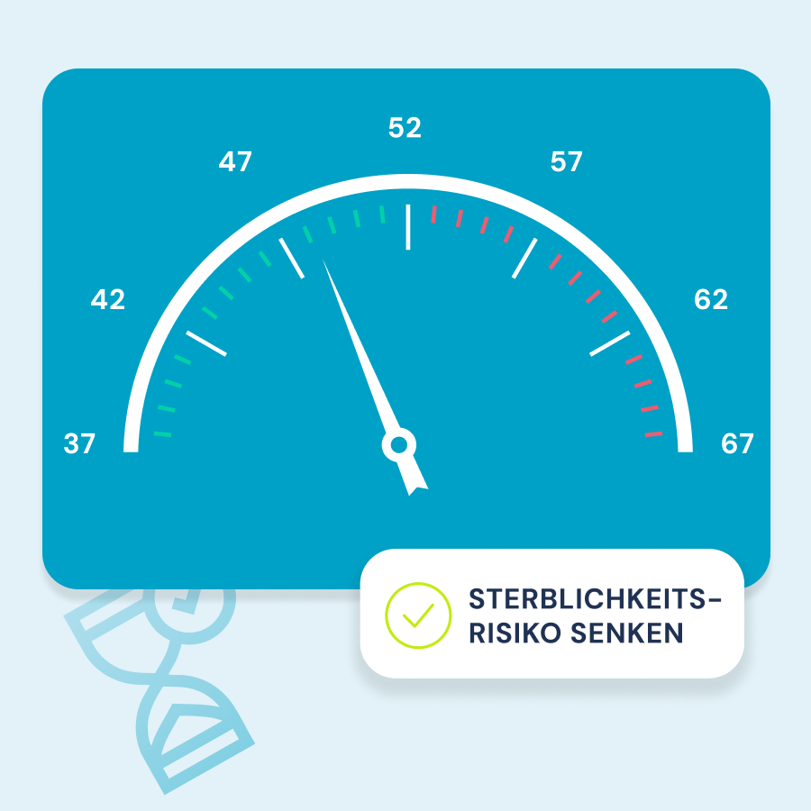 Permedio Epigenetik Check – biologische Altersanalyse für Prävention und Langlebigkeit
